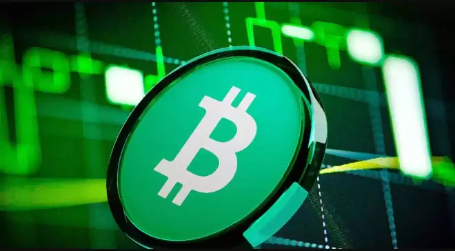 比特币现金BCH与比特币BTC分叉对比图解