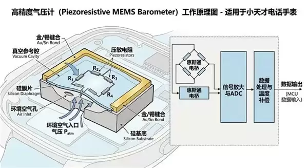 全球最强定位小天才电话手表新品 Z12 正式上市