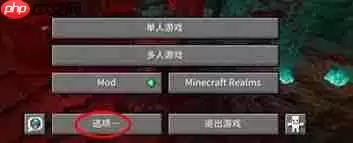 我的世界分辨率怎么调