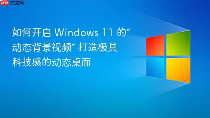 如何开启 Windows 11 的“动态背景视频” 打造极具科技感的动态桌面