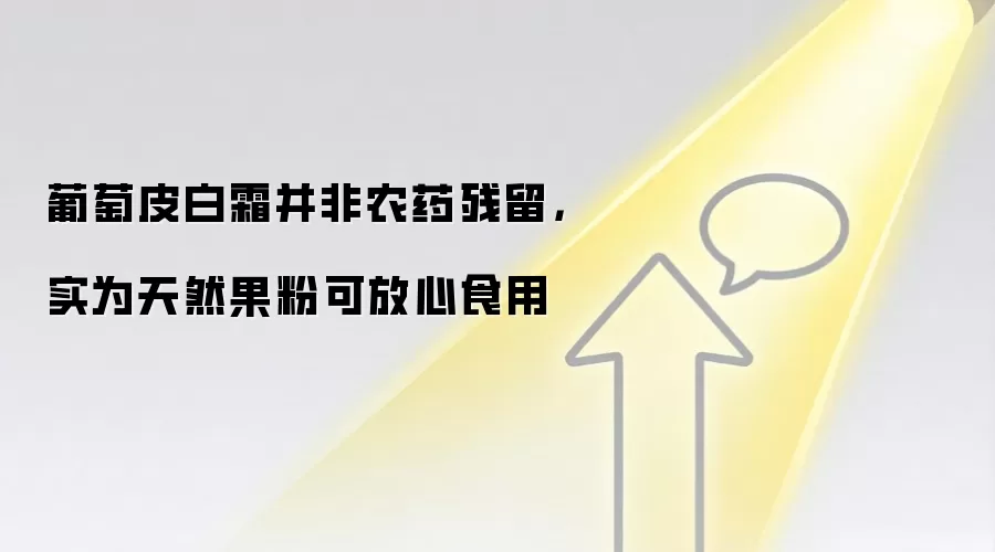 葡萄皮白霜并非农药残留,实为天然果粉可放心食用