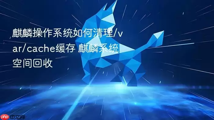 麒麟操作系统如何清理/var/cache缓存 麒麟系统空间回收