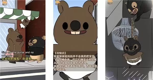 总有一位「月度精选作者」，抵达过你的心底
