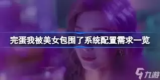 完蛋我被美女包围了2推荐配置是什么