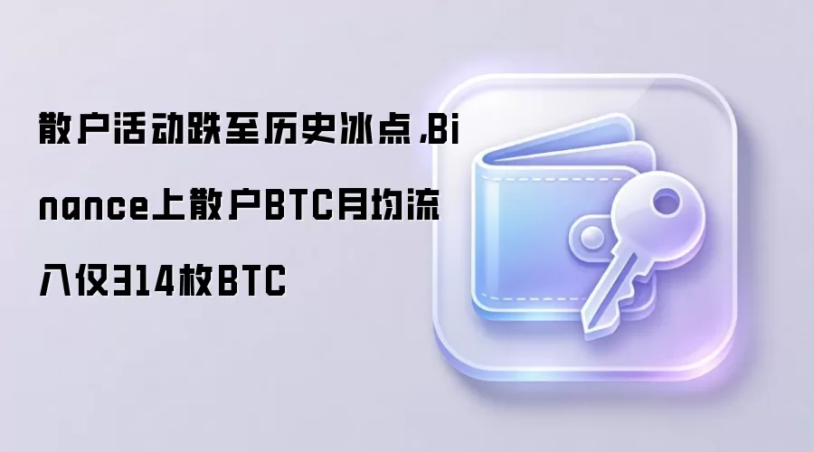 散户活动跌至历史冰点,Binance上散户BTC月均流入仅314枚BTC