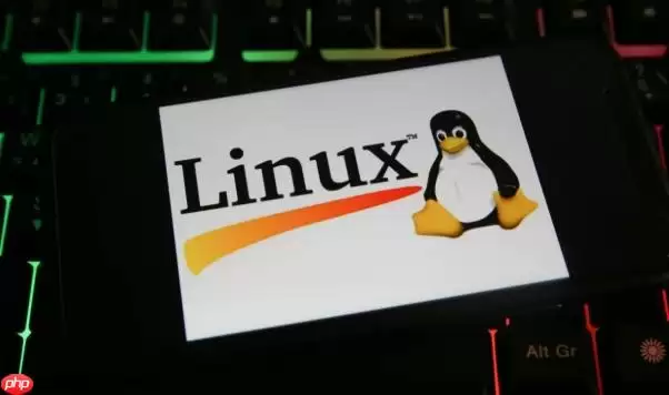 Linux怎么查看系统的PCIe链路带宽 Linux下lspci -vvv指令详解