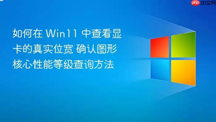 如何在 Win11 中查看显卡的真实位宽 确认图形核心性能等级查询方法