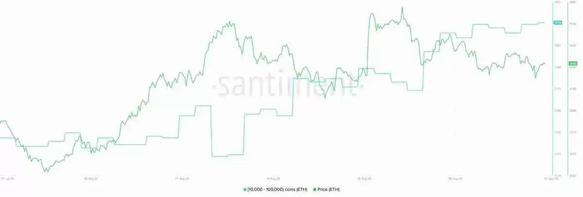 以太坊巨鲸狂扫26万枚ETH，重燃5000美元复苏预期