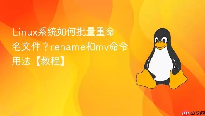 Linux系统如何批量重命名文件？rename和mv命令用法【教程】