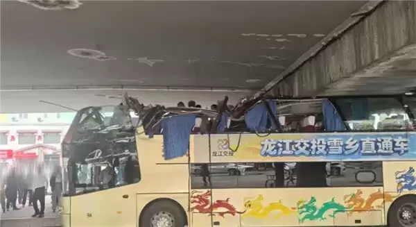 突发!哈尔滨双层巴士被高架桥削顶 官方通报:司机疏忽所致