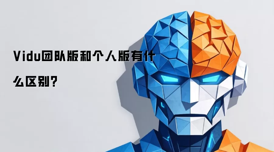 Vidu团队版和个人版有什么区别？