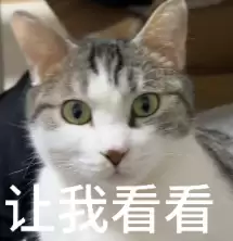 龙虾最佳适配模型,OpenClaw 之父给出了推荐