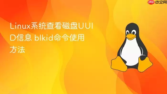 linux系统查看磁盘uuid信息 blkid命令使用方法