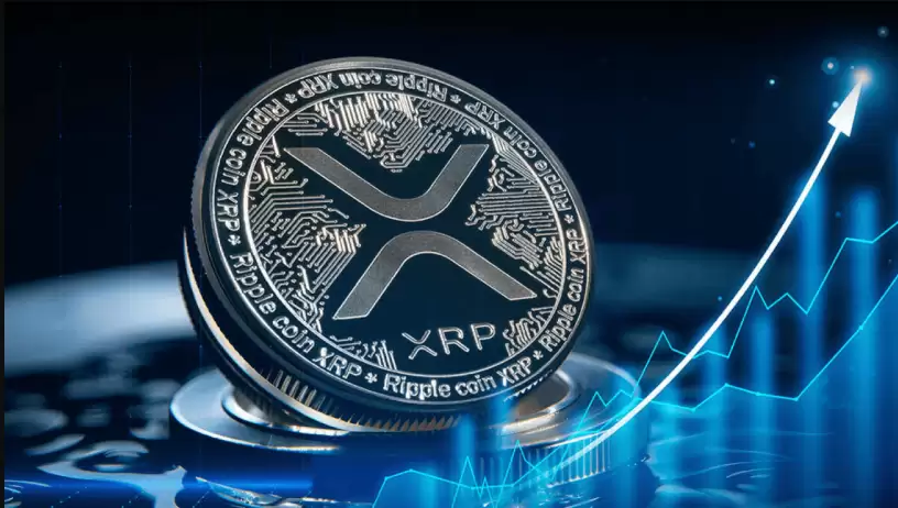 Xrp的etf通过了吗?一文了解xrp是否获批etf - php中文网