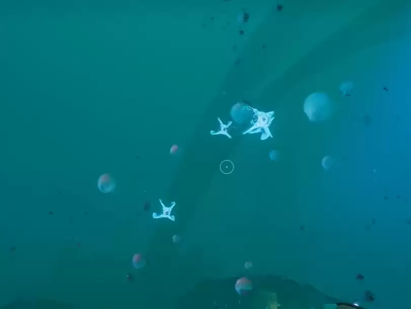 深海迷航2生物荧光怎么解锁