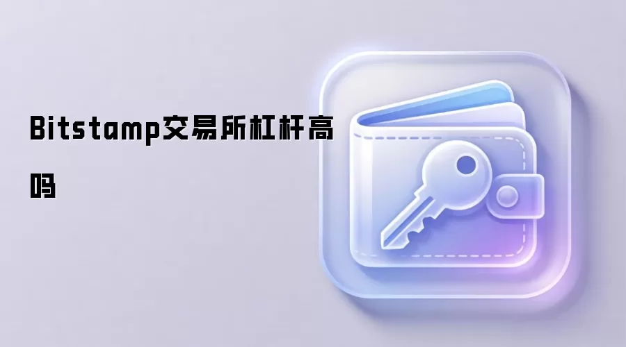 Bitstamp交易所杠杆交易界面与风险提示示意