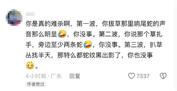 网友被AI骗去毒蛇窝徒步:三次与响尾蛇擦肩而过