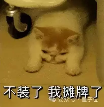 刚刚，马斯克公开SpaceX招股书！
