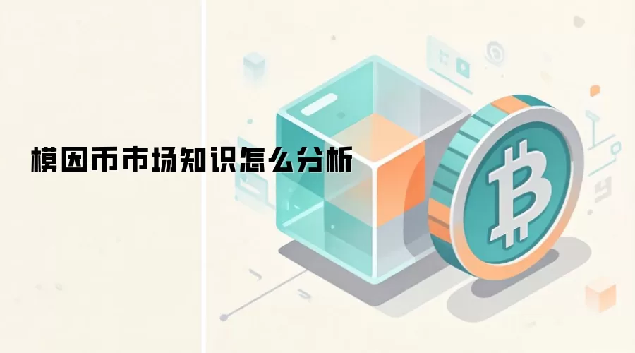 模因币市场知识怎么分析