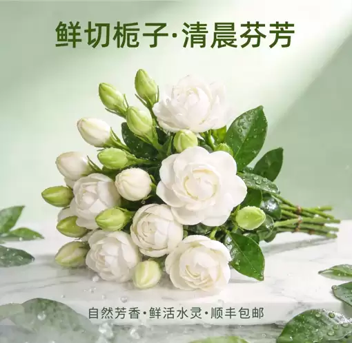 堆友Agent实测：AI一句话生成商业级电商设计海报