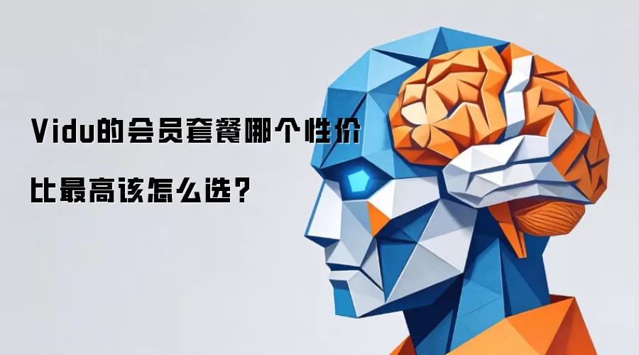 Vidu的会员套餐哪个性价比最高该怎么选？