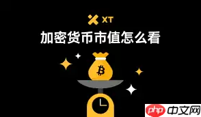 如何判断加密货币前景价值