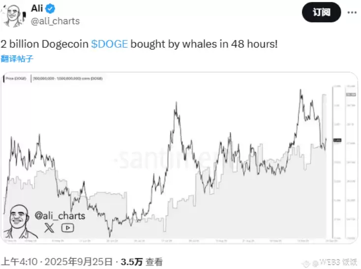 鲸鱼两天狂扫20亿DOGE!狗狗币要暴涨800%还是崩盘见血? - php中文网