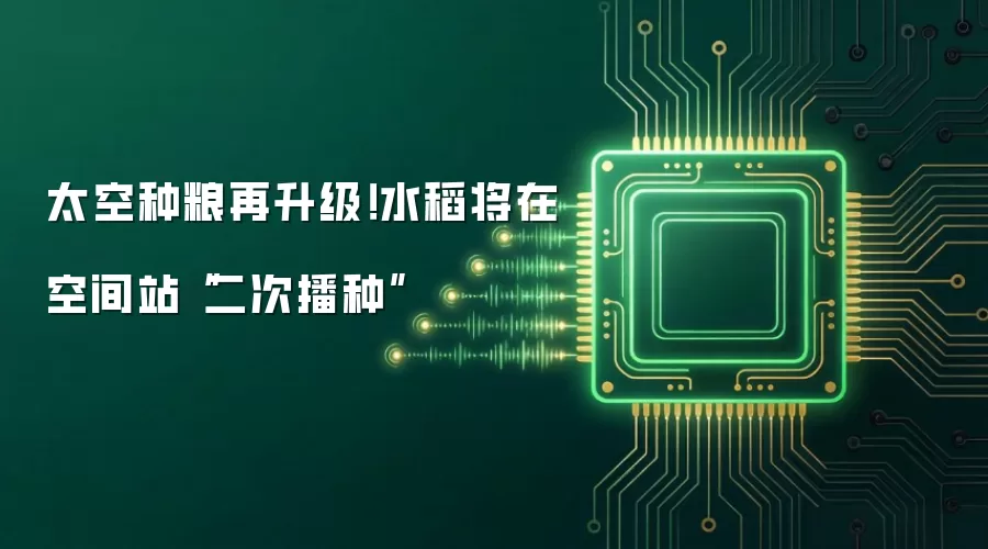 太空种粮再升级！水稻将在空间站“二次播种”