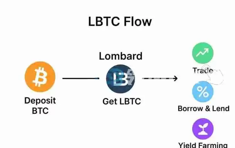 比特币(BTC)Finance 复兴:谁在改变行业,谁在被行业改变?