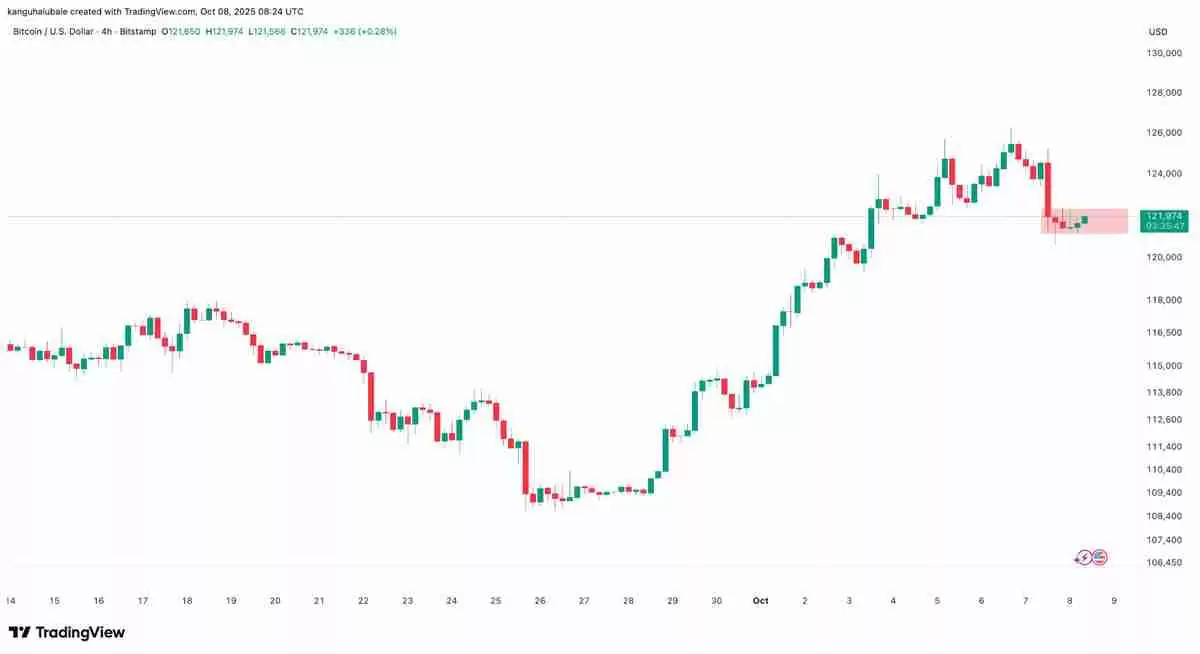分析师称比特币(BTC)仍有增长空间:30万美元价格目标依然可期