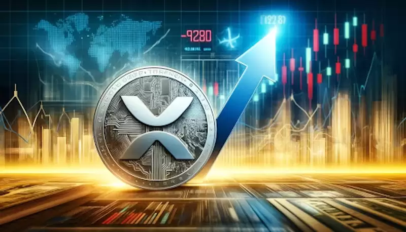 投资者使用交易所APP分析XRP市场数据