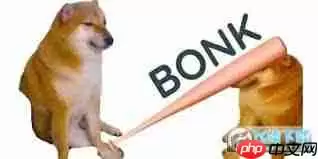 bonk币2025年能涨到什么价位