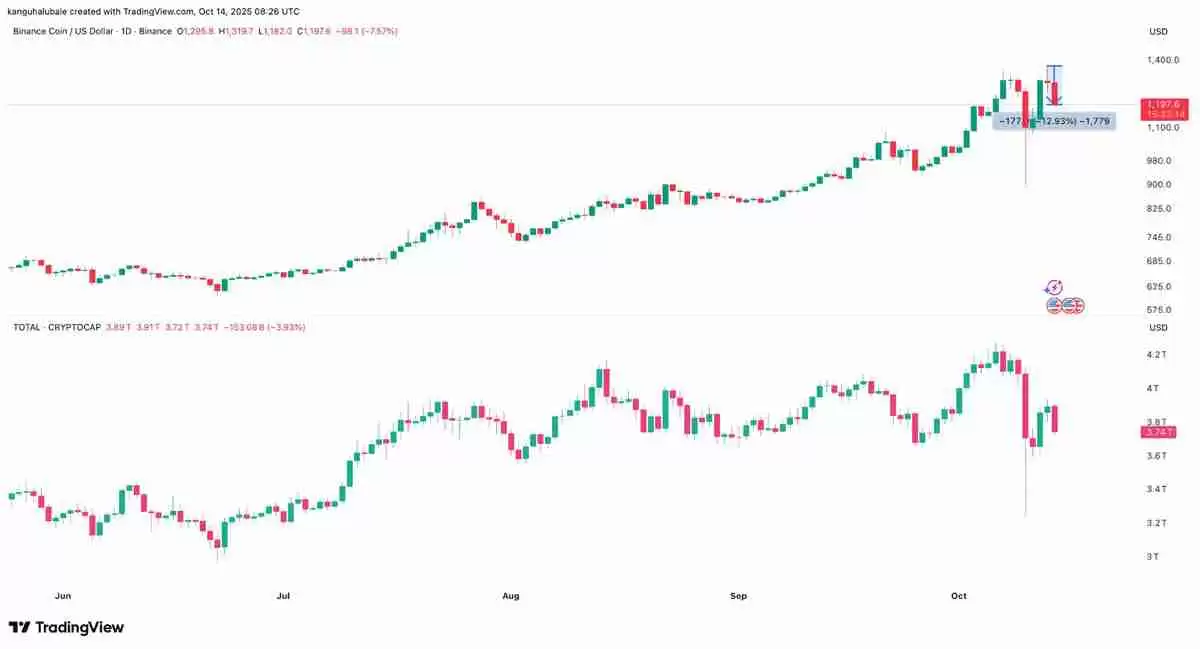 BNB/USDT日线走势图与RSI分析
