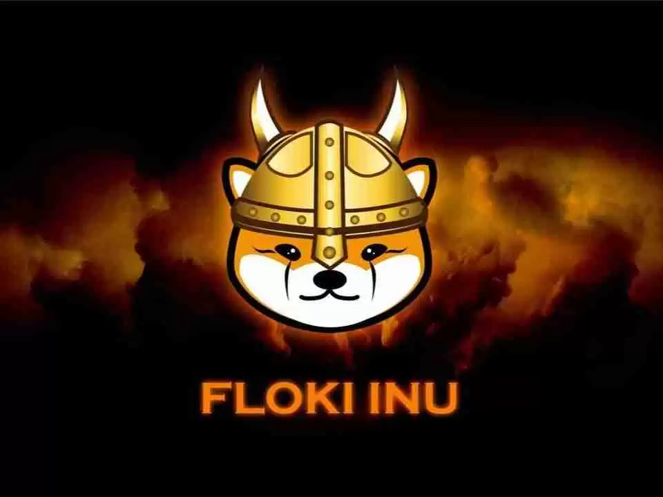 FLOKI未来如何?怎么买?FLOKI价格预测:2026年、2030年、2050年