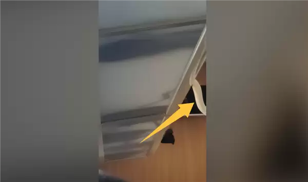 虚惊一场！网传高铁行李架上掉下蛇 官方辟谣：其实是鳗鱼