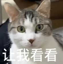 国产Agent模型闯入全球第一梯队!限时免费