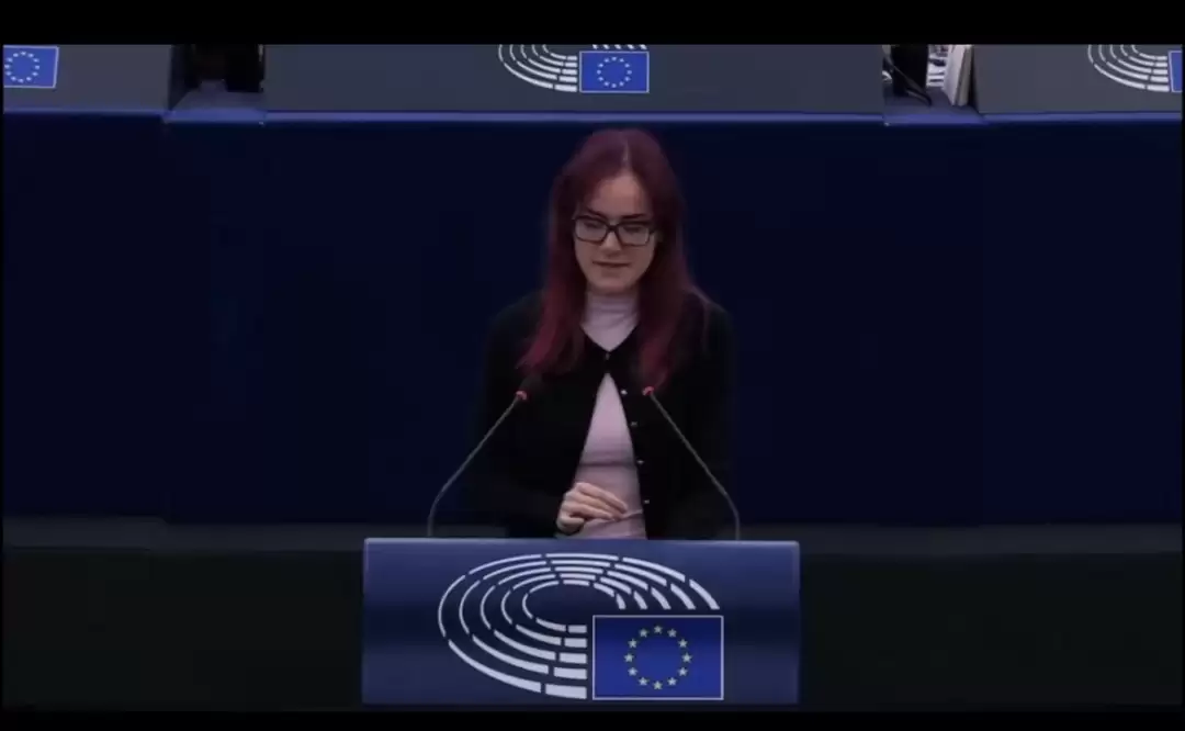 欧洲议员质疑游戏购买误导消费者:所有权缺位催生反扼杀运动