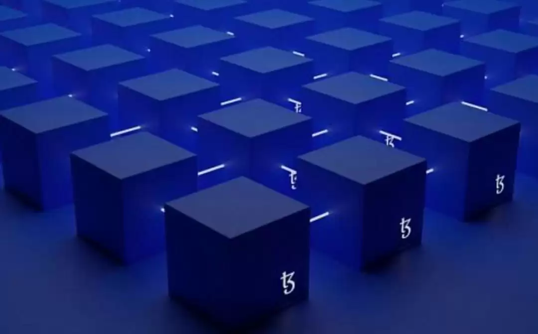 为什么都用usdt结算
