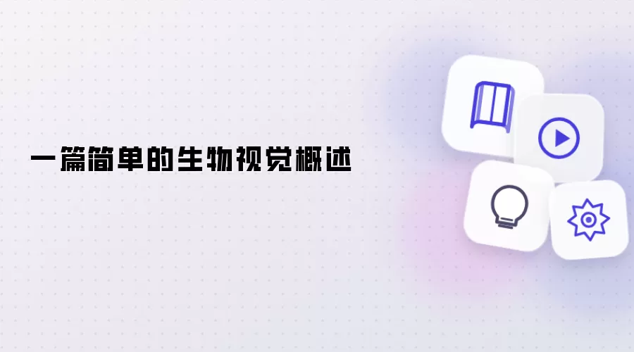 一篇简单的生物视觉概述