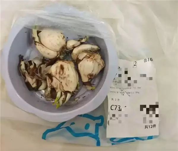 五个月4次公开道歉:粉木耳翻车后 盒马评论区被金针菇刷屏
