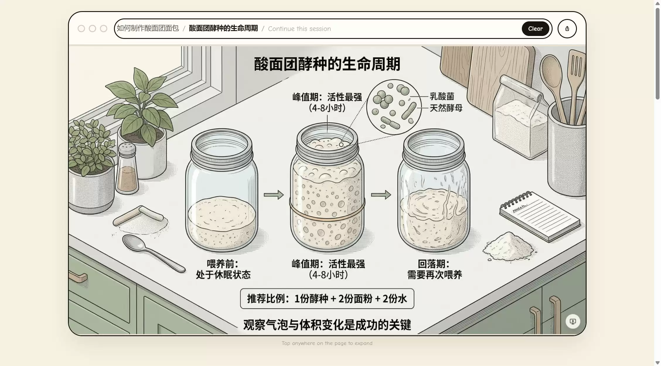 Flipbook浏览器评测 – AI实时渲染替代传统网页，五大场景体验