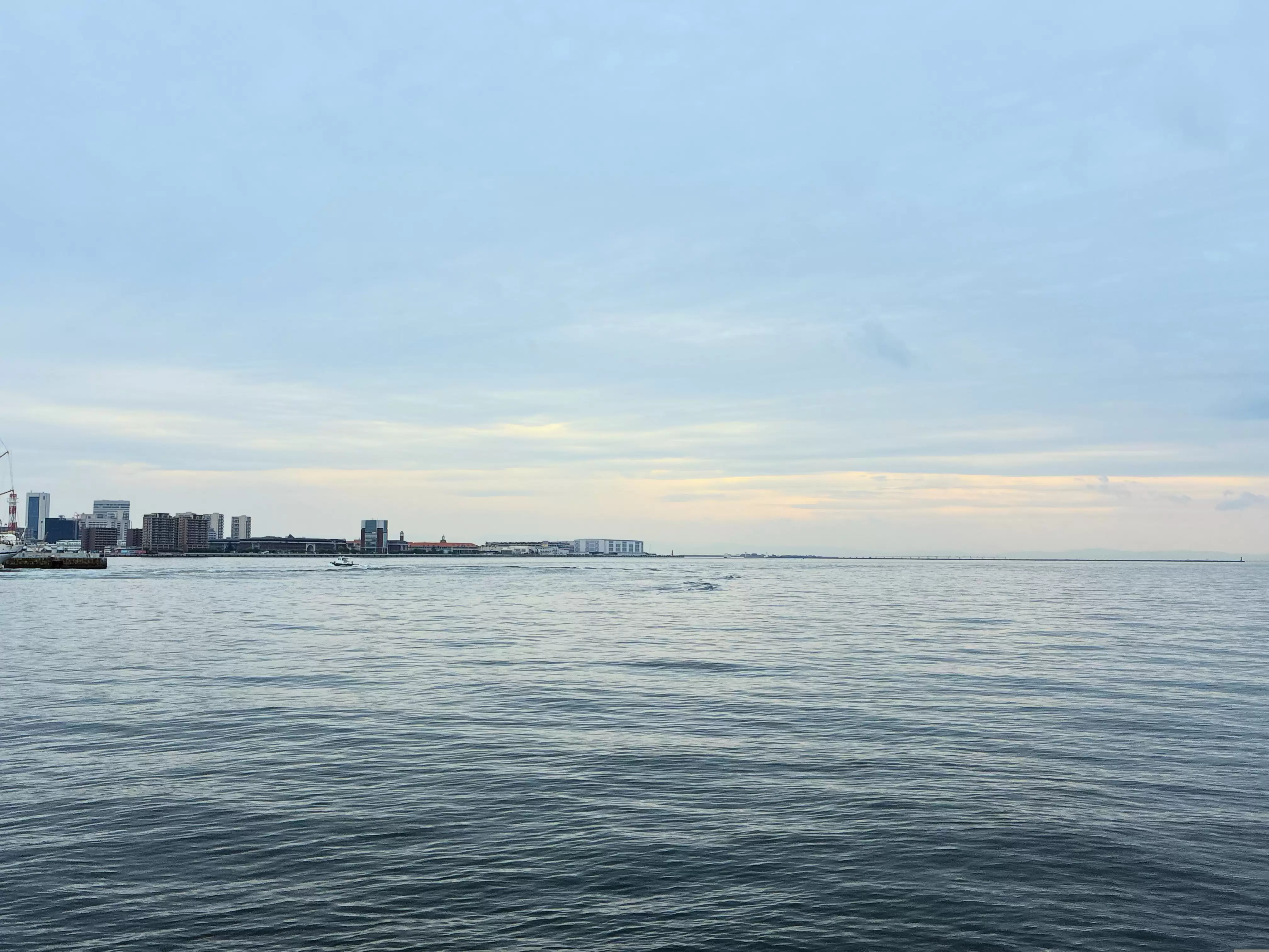 \ IMG_0301.JPG