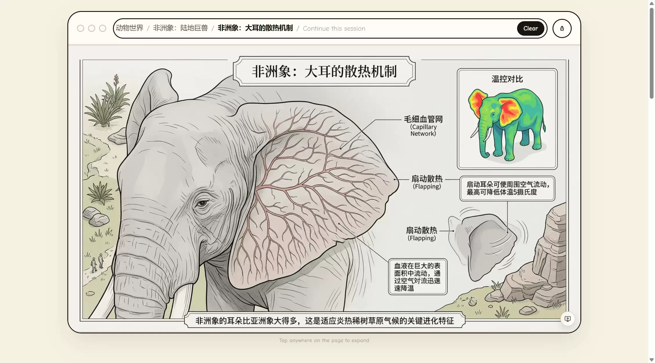 Flipbook浏览器评测 – AI实时渲染替代传统网页，五大场景体验