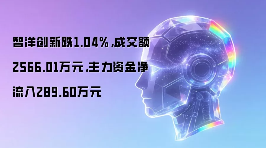 智洋创新跌1.04%,成交额2566.01万元,主力资金净流入289.60万元