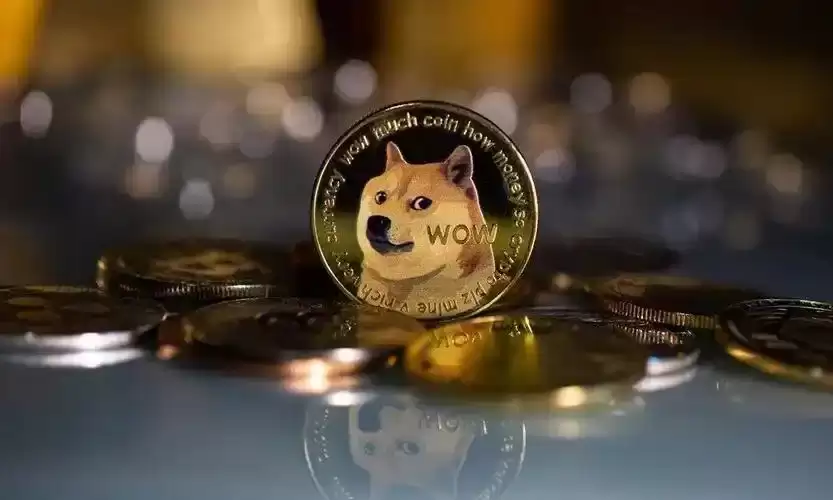 DOGE SHIB社区共识与投资时机选择