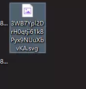 最终生成的SVG矢量图示例
