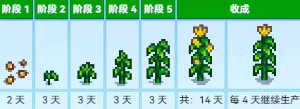 种植 种植