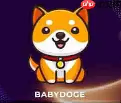 babydoge币未来潜力如何