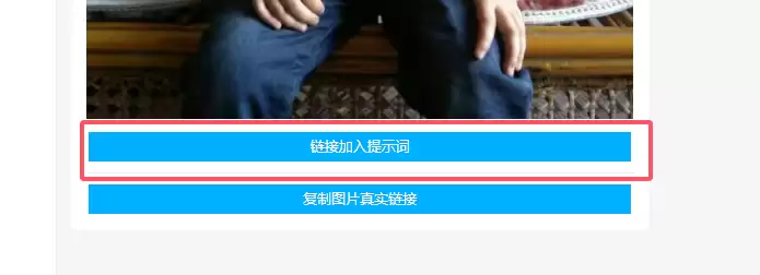 图片上传后选择‘链接加入提示词’的界面