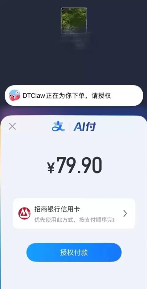 龙虾也能管钱了！蚂蚁数科DTClaw上线AI支付 仅需三步即可完成